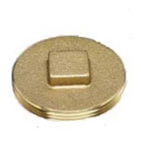 Oatey 2 BRS Raised Plug 42370